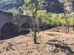 I ragazzi del “San Paolo” studiano le Antiche Mura di Sorrento