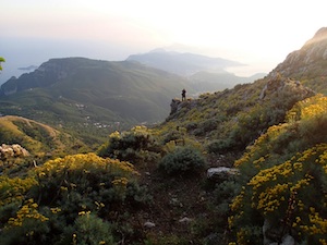 Mobilitazione del Wwf in difesa dei parchi naturali