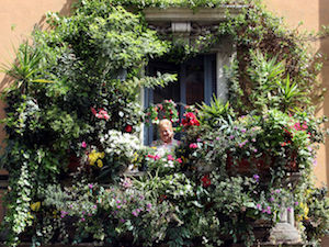 balcone-fiorito-concorso