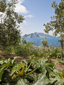 Il Tar respinge il ricorso di Don Alfonso per gli abusi a Punta Campanella