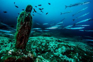 Ecoturismo, un Oscar per Punta Campanella e le aree marine campane