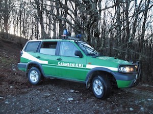 L’attività dei Carabinieri Forestali contro gli illeciti ambientali