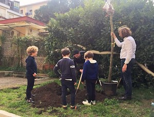 Gli studenti di Sant’Agnello partecipano alla Giornata degli alberi