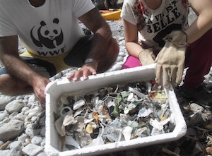 Volontari raccolgono la plastica dal Fiordo di Crapolla