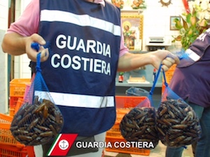 Controlli Capitaneria sulla pesca, 1.000 kg di prodotti sequestrati e multe per 60mila euro