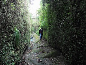 Il Wwf diserta l’incontro con gli studenti sui Valloni della costiera