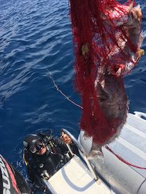 Nel weekend maxi bonifica dei fondali della penisola sorrentina