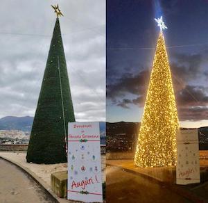 Un grande albero di Natale per dare il benvenuto in costiera sorrentina