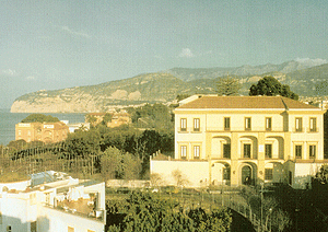 Più alberi ed un pergolato tipico per l’agrumeto del Museo Correale di Sorrento