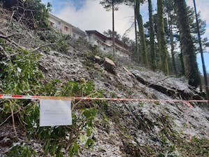 Alberi secolari tagliati sul Faito, sequestrata l’area