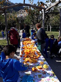 Sorrento: Grande successo per lo “Spremuta Day” a Villa Fiorentino