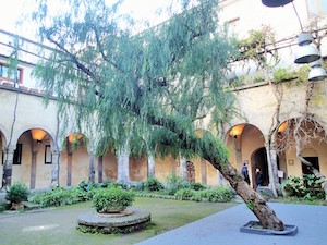 Albero del chiostro di San Francesco, proposta di Gaetano Milano