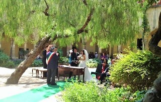 Abbattuto l’albero simbolo del chiostro di San Francesco di Sorrento, denuncia Wwf