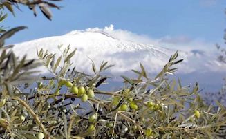 Il Premio Sirena d’Oro di Sorrento sbarca in Sicilia