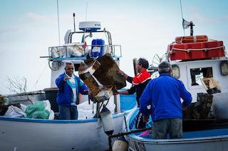 A pesca di rifiuti in penisola sorrentina, a Ischia e Procida