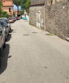 Taglio di alberi nel centro di Sorrento. Il Wwf: Un altro parcheggio?