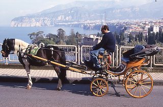 Cambia il Codice della Strada, addio alle carrozzelle