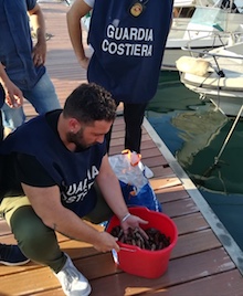 Pescatori di frodo di datteri in trasferta, denunciati