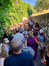 Trekking. È online il nuovo sito Sorrentowalks