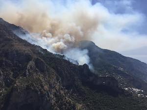 Condanna del piromane del Faito, esulta il Wwf: Ma manca la prevenzione