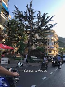 A Sorrento cade il ramo di un pino in via degli Aranci – foto –