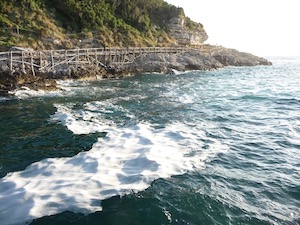 Schiuma sul mare di Sorrento, le foto del presidente Wwf