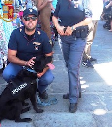 Polizia di Sorrento con il cane Nora arresta pusher di Massa Lubrense – foto –