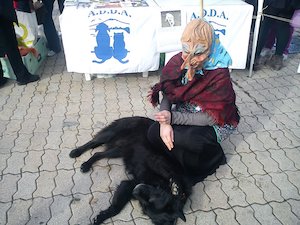 A Castellammare di Stabia la Befana degli animali