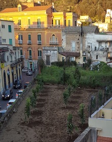 Niente box, tornano gli alberi nel fondo del corso Italia di Meta