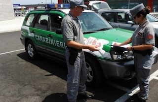 Controlli dei Carabinieri Forestali in provincia di Napoli, sequestrati 250 kg di alimenti