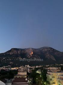 Incendio nella zona di Alberi a Meta