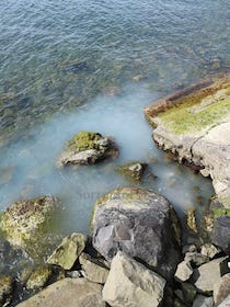 Denunciato l’autore dello sversamento di pittura in mare a Massa Lubrense