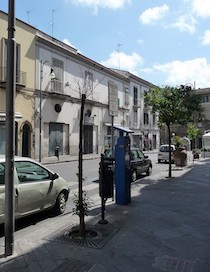 aranci-avvelenati-piano-di-sorrento-2