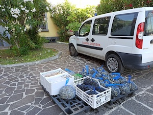 Nuovo sequestro di vongole tossiche pescate alla foce del Sarno