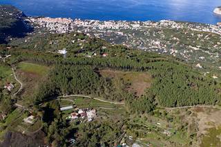 Il sindaco: Stop al taglio di alberi alla pineta Le Tore di Sorrento