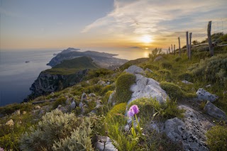 Al via il contest fotografico #aboutsorrento2023. Quest’anno il tema è l’amore