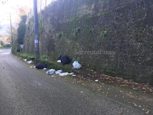 Pineta Le Tore di Sorrento, tra rifiuti ed abbandono