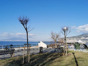 A Sorrento avviato il Piano del verde pubblico