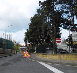 Eliminati gli alberi dell’isola ecologica di Piano di Sorrento, Wwf all’attacco