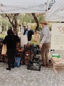 Ultimo appuntamento con le Domeniche ecologiche di Sorrento