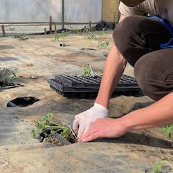 Giornata della Terra, progetto Amp Punta Campanella-studenti Massa Lubrense