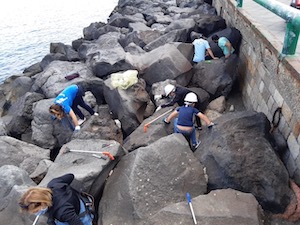 Rimossi quintali di rifiuti dalla scogliera di Marina Piccola a Sorrento