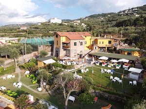 Domani al Casale Antonietta di Sorrento serata con musica e buona cucina