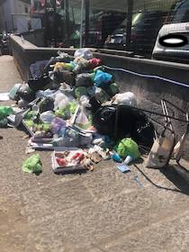 Ripulita la discarica a cielo aperto della spiaggia di Sant’Agnello