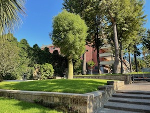 Riaprono i giardini di piazza Lauro a Sorrento con uno spazio per i cani