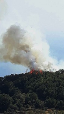Incendi devastano la penisola sorrentina, allarme Wwf