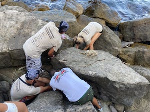 Ripulite le scogliere ed i fondali di Massa Lubrense