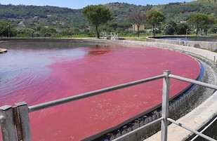 Sversamenti illeciti nel Sarno, la denuncia di Gori