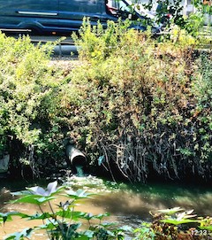 Lavanderia industriale sversava nel Sarno, sequestrata