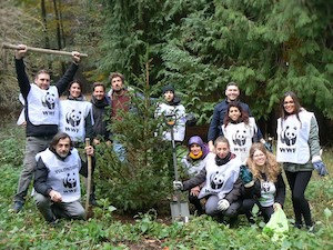 Il Wwf pianta alberi sul Faito, a Sant’Agnello e Massa Lubrense